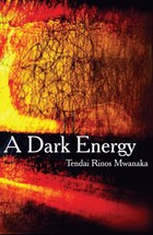 A Dark Energy
