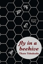 fly in a beehive